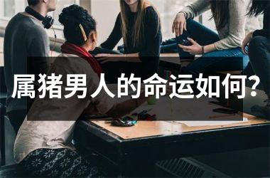 属猪男人的命运如何？