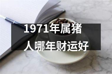 1971年属猪人哪年财运好