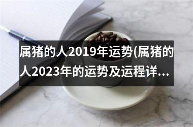 属猪的人2019年运势(属猪的人2025年的运势及运程详解)