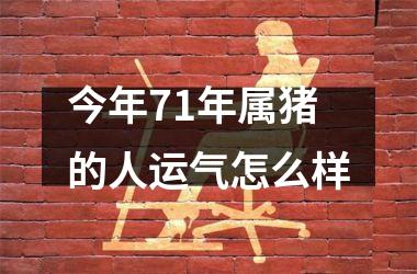 今年71年属猪的人运气怎么样