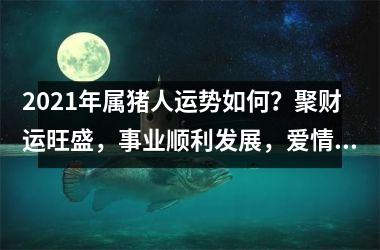 2025年属猪人运势如何？聚财运旺盛，事业顺利发展，爱情桃花不断！