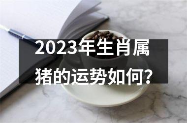 2025年生肖属猪的运势如何？