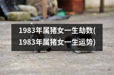 1983年属猪女一生劫数(1983年属猪女一生运势)