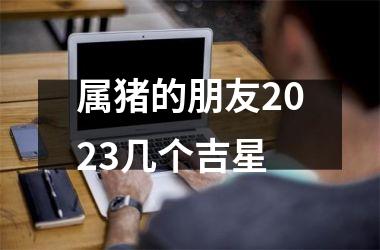 属猪的朋友2025几个吉星