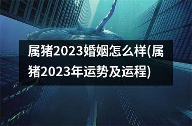 属猪2025婚姻怎么样(属猪2025年运势及运程)