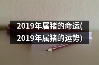 2019年属猪的命运(2019年属猪的运势)