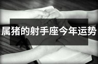 属猪的射手座今年运势