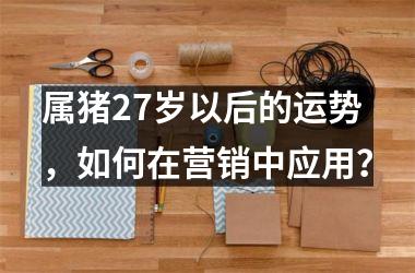 属猪27岁以后的运势，如何在营销中应用？