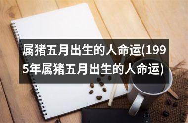 属猪五月出生的人命运(1995年属猪五月出生的人命运)