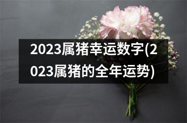 2025属猪幸运数字(2025属猪的全年运势)