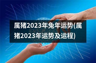属猪2025年兔年运势(属猪2025年运势及运程)