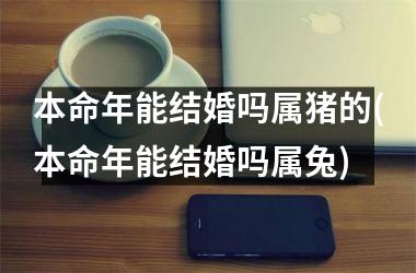 本命年能结婚吗属猪的(本命年能结婚吗属兔)