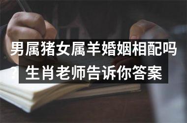 男属猪女属羊婚姻相配吗？生肖老师告诉你答案