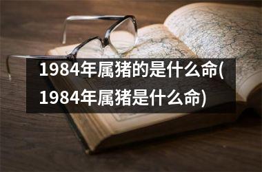 1984年属猪的是什么命(1984年属猪是什么命)
