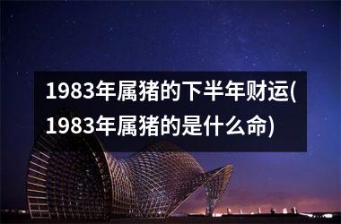 1983年属猪的下半年财运(1983年属猪的是什么命)
