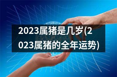 2025属猪是几岁(2025属猪的全年运势)