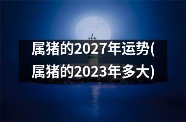 <h3>属猪的2027年运势(属猪的2025年多大)