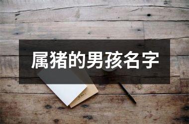 属猪的男孩名字