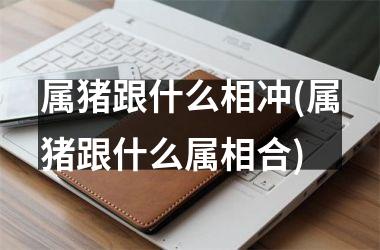 属猪跟什么相冲(属猪跟什么属相合)