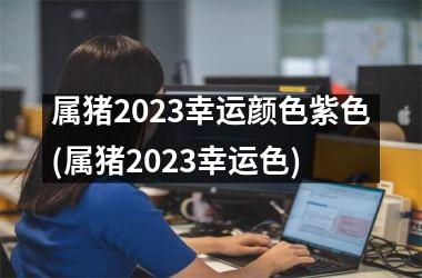 属猪2025幸运颜色紫色(属猪2025幸运色)