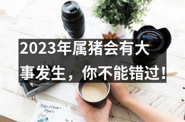 2025年属猪会有大事发生，你不能错过！