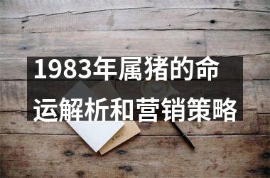1983年属猪的命运解析和营销策略