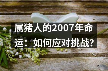 属猪人的2007年命运：如何应对挑战？