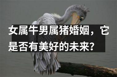 女属牛男属猪婚姻，它是否有美好的未来？