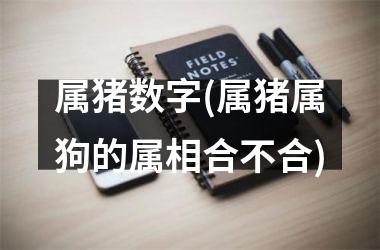属猪数字(属猪属狗的属相合不合)