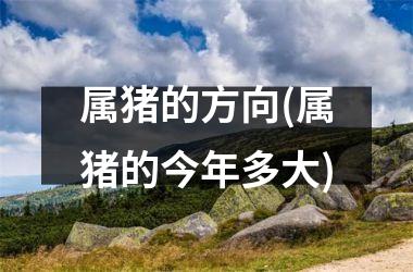 属猪的方向(属猪的今年多大)