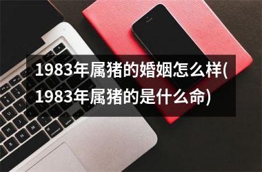 1983年属猪的婚姻怎么样(1983年属猪的是什么命)