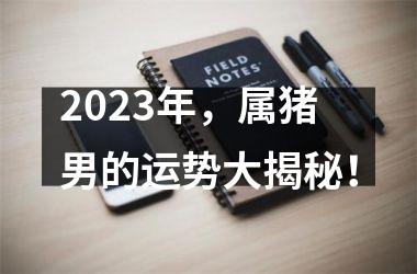 2025年，属猪男的运势大揭秘！