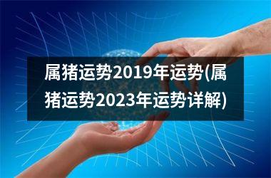 属猪运势2019年运势(属猪运势2025年运势详解)