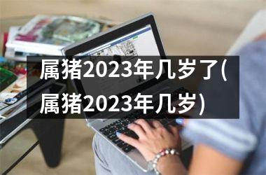 属猪2025年几岁了(属猪2025年几岁)