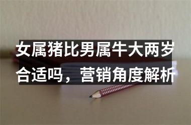 女属猪比男属牛大两岁合适吗，营销角度解析