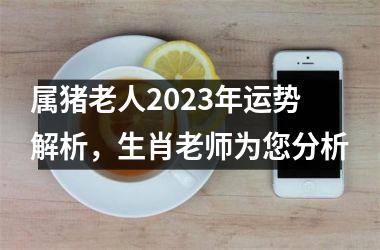 <h3>属猪老人2025年运势解析，生肖老师为您分析