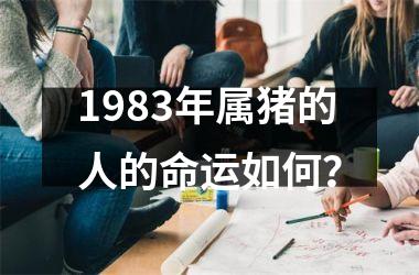1983年属猪的人的命运如何？