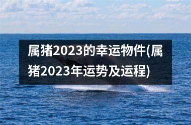 属猪2025的幸运物件(属猪2025年运势及运程)