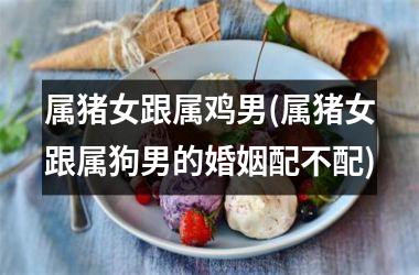 属猪女跟属鸡男(属猪女跟属狗男的婚姻配不配)