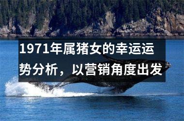 1971年属猪女的幸运运势分析，以营销角度出发