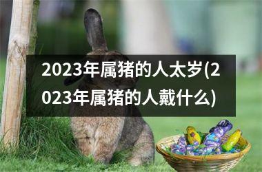 2025年属猪的人太岁(2025年属猪的人戴什么)