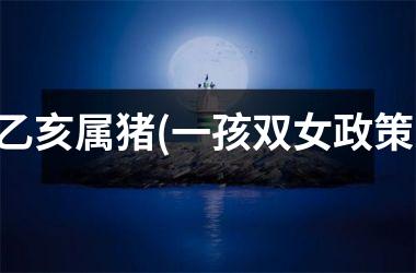 乙亥属猪(一孩双女政策)