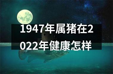 1947年属猪在2025年健康怎样