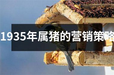 1935年属猪的营销策略