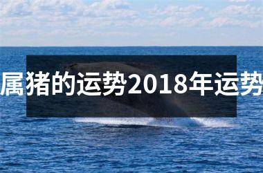 属猪的运势2018年运势