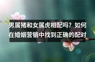 男属猪和女属虎相配吗？如何在婚姻营销中找到正确的配对