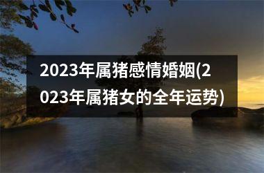 2025年属猪感情婚姻(2025年属猪女的全年运势)