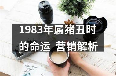 1983年属猪丑时的命运  营销解析
