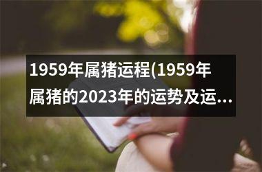 1959年属猪运程(1959年属猪的2025年的运势及运程)