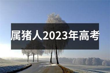 属猪人2025年高考